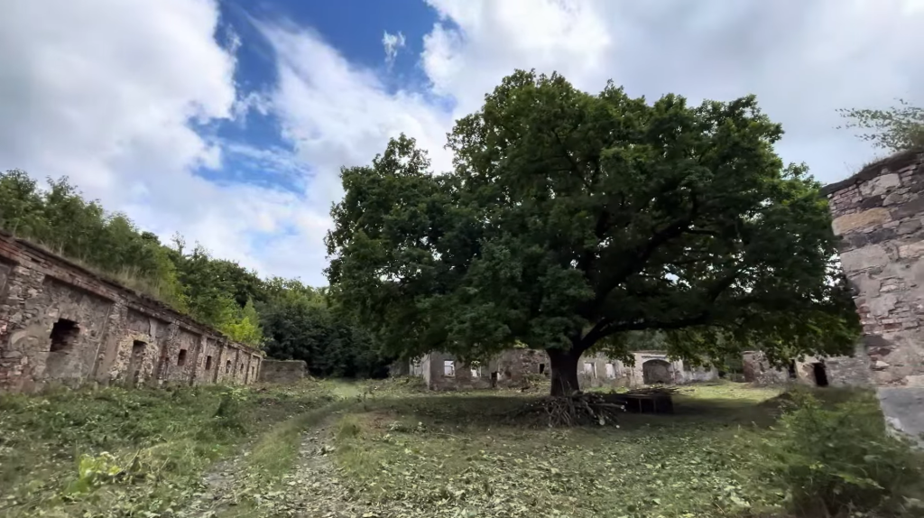 ⪓⪔tvrzenka / SZtvrzenka /|\ Anabasis